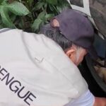 BOLIVIA REPORTA 26 FALLECIDOS POR DENGUE EN MEDIO DEL COLAPSO DE CENTROS DE SALUD