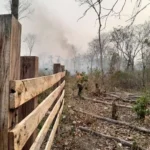 ARCE ORDENA MOVILIZAR AL EJÉRCITO PARA DETENER A INCENDIARIOS Y EVISTAS LEVANTAN BLOQUEOS