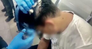 VIDEO: VEA CÓMO EN COLOMBIA DESCUBREN LA NARCOPELUCA