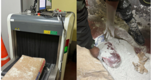 ESCÁNER DETECTA DROGA OCULTA EN BOLSA DE ESTUCO DESTINADA A CÁRCEL DE SAN PEDRO