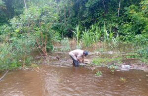 INUNDACIONES DESTRUYEN CULTIVOS Y CAMINOS EN YAPACANÍ: AUTORIDADES PIDEN AYUDA