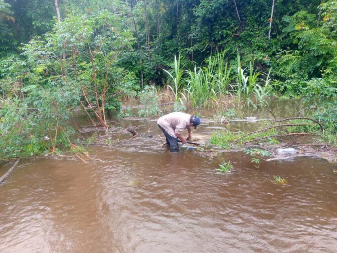 INUNDACIONES DESTRUYEN CULTIVOS Y CAMINOS EN YAPACANÍ: AUTORIDADES PIDEN AYUDA