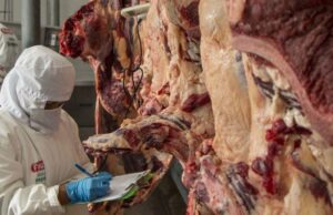 EXPORTACIONES DE CARNE SIGUEN SUSPENDIDAS POR INCUMPLIMIENTO DE ACUERDOS, SEGÚN EL GOBIERNO