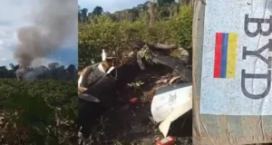 DOS BOLIVIANOS DETENIDOS EN BRASIL TRAS ACCIDENTE DE AVIONETA CON 500 KILOS DE DROGA