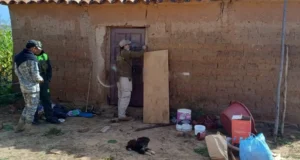 FEMINICIDIO EN MIZQUE: HOMBRE ASESINA A SU PAREJA Y OCULTA EL CUERPO EN UNA FOSA