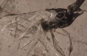 POLICÍA DETALLA QUE UN RECLUSO Y UN FAMILIAR ESTÁN INVOLUCRADOS EN EL ROBO A UNA ABUELA Y SUS NIETOS