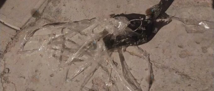 POLICÍA DETALLA QUE UN RECLUSO Y UN FAMILIAR ESTÁN INVOLUCRADOS EN EL ROBO A UNA ABUELA Y SUS NIETOS