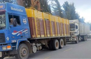 CAMIONES SIN GPS NO PODRÁN TRANSPORTAR GANADO NI ALIMENTOS