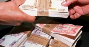 POLICÍA DETIENE A DOS MUJERES QUE INTENTABAN CRUZAR A PERÚ CON BS 400.000 NO DECLARADO