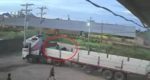 DENUNCIAN ROBO DE MÁS DE 1.200 QUINTALES DE ARROZ VALUADOS EN BS 500.000