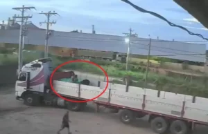 DENUNCIAN ROBO DE MÁS DE 1.200 QUINTALES DE ARROZ VALUADOS EN BS 500.000