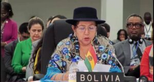 BOLIVIA ADVIERTE ANTE LA OEA QUE LAS TENSIONES POLÍTICAS Y LA VIOLENCIA PONEN EN RIESGO LAS ELECCIONES DEL BICENTENARIO