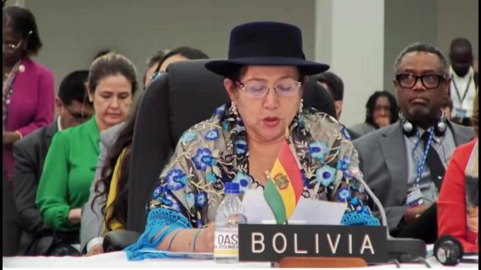BOLIVIA ADVIERTE ANTE LA OEA QUE LAS TENSIONES POLÍTICAS Y LA VIOLENCIA PONEN EN RIESGO LAS ELECCIONES DEL BICENTENARIO