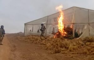 CASO LLALLAGUA: PRESUNTO FRANCOTIRADOR DEL ATAQUE ARMADO OPERABA VIVEROS ILEGALES DE MARIHUANA EN POTOSÍ