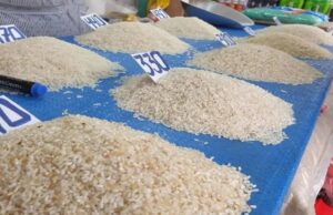 GOBIERNO ANUNCIA IMPORTACIÓN DE 40.000 TONELADAS DE ARROZ PARA FRENAR ESCASEZ Y ESTABILIZAR PRECIOS