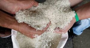 EMPRESA ESTATAL NO PUEDE RECUPERAR BS 63 MILLONES POR PAGO REALIZADO PARA IMPORTAR ARROZ QUE NO CUMPLE ESPECIFICACIONES DE CALIDAD