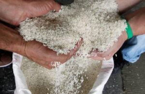 EMPRESA ESTATAL NO PUEDE RECUPERAR BS 63 MILLONES POR PAGO REALIZADO PARA IMPORTAR ARROZ QUE NO CUMPLE ESPECIFICACIONES DE CALIDAD