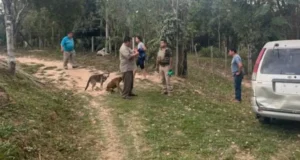 VIOLENTO ATRACO EN BUENA VISTA: DELINCUENTES ARMADOS REDUCEN A UNA JOVEN Y SU PADRE PARA ROBAR UNA CAMIONETA Y OBJETOS DE VALOR