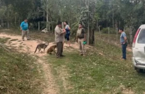 VIOLENTO ATRACO EN BUENA VISTA: DELINCUENTES ARMADOS REDUCEN A UNA JOVEN Y SU PADRE PARA ROBAR UNA CAMIONETA Y OBJETOS DE VALOR