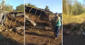 DOS MUERTOS Y DOS HERIDOS EN ACCIDENTE DE CAMIÓN GANADERO EN SANTIAGO DE CHIQUITOS