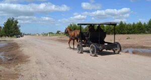 JOVEN MENONITA FUE ESTRANGULADO Y ESCONDIDO EN UNA HELADERA; OCHO PERSONAS FUERON APREHENDIDAS