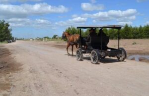 JOVEN MENONITA FUE ESTRANGULADO Y ESCONDIDO EN UNA HELADERA; OCHO PERSONAS FUERON APREHENDIDAS