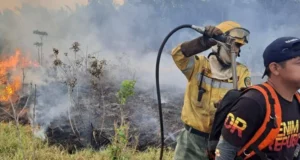 INCENDIOS FORESTALES ARRASAN EN SANTA CRUZ Y LLEGAN AL PARQUE NACIONAL NOEL KEMPFF MERCADO