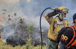 INCENDIOS FORESTALES ARRASAN EN SANTA CRUZ Y LLEGAN AL PARQUE NACIONAL NOEL KEMPFF MERCADO