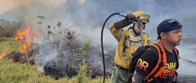 INCENDIOS FORESTALES ARRASAN EN SANTA CRUZ Y LLEGAN AL PARQUE NACIONAL NOEL KEMPFF MERCADO