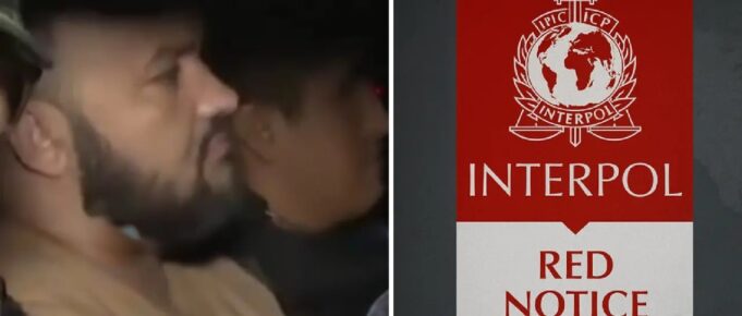 POLICÍA E INTERPOL CAPTURAN EN SANTA CRUZ A CIUDADANO BRASILEÑO CON DOBLE IDENTIDAD Y ORDEN DE CAPTURA INTERNACIONAL