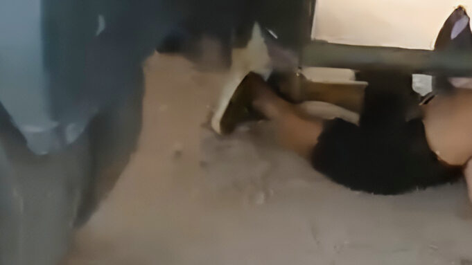 VIDEO: INSÓLITO! PAREJA ES SORPRENDIDA MANTENIENDO RELACIONES DEBAJO DE UN CISTERNA QUE HACÍA FILA POR COMBUSTIBLE