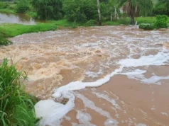 COLAPSA DIQUE EN SAN PEDRO Y MÁS DE 3.000 HECTÁREAS DE SOYA QUEDAN INUNDADAS