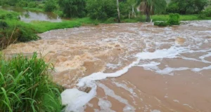 COLAPSA DIQUE EN SAN PEDRO Y MÁS DE 3.000 HECTÁREAS DE SOYA QUEDAN INUNDADAS