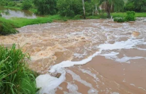 COLAPSA DIQUE EN SAN PEDRO Y MÁS DE 3.000 HECTÁREAS DE SOYA QUEDAN INUNDADAS
