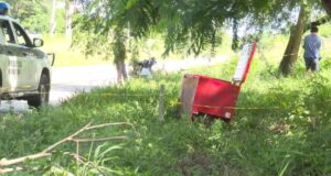 ENVÍAN A LA CÁRCEL POR 180 DÍAS AL HERMANO DE LA MUJER HALLADA MUERTA EN UN FREEZER EN EL PLAN TRES MIL