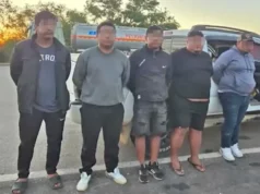 APREHENDEN A CINCO PERSONAS POR TRANSPORTAR ARMAS DE FUEGO Y MUNICIONES EN LA RUTA SANTA CRUZ–VILLAMONTES