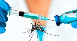 SEDES PIDE AL GOBIERNO ADQUIRIR VACUNAS CONTRA EL DENGUE Y LA CHIKUNGUNYA ANTE ALERTA ROJA EN SANTA CRUZ