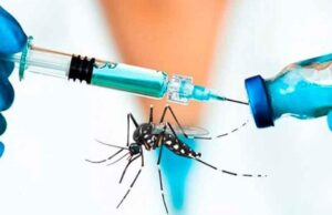 SEDES PIDE AL GOBIERNO ADQUIRIR VACUNAS CONTRA EL DENGUE Y LA CHIKUNGUNYA ANTE ALERTA ROJA EN SANTA CRUZ