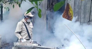 SEDES DECLARA ALERTA ROJA POR CHIKUNGUNYA EN SANTA CRUZ TRAS MUERTE DE UN ADULTO MAYOR