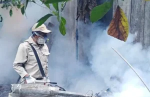 SEDES DECLARA ALERTA ROJA POR CHIKUNGUNYA EN SANTA CRUZ TRAS MUERTE DE UN ADULTO MAYOR