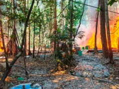 GOLPE AL NARCOTRÁFICO EN EL TRÓPICO: INCINERAN MEGALABORATORIOS Y FÁBRICAS DE COCAÍNA EN VILLA TUNARI