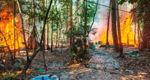 GOLPE AL NARCOTRÁFICO EN EL TRÓPICO: INCINERAN MEGALABORATORIOS Y FÁBRICAS DE COCAÍNA EN VILLA TUNARI