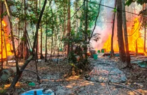 GOLPE AL NARCOTRÁFICO EN EL TRÓPICO: INCINERAN MEGALABORATORIOS Y FÁBRICAS DE COCAÍNA EN VILLA TUNARI