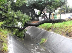 INTENSAS LLUVIAS EN SANTA CRUZ DEJAN INUNDACIONES, ÁRBOLES CAÍDOS Y VARIAS EMERGENCIAS ATENDIDAS POR BOMBEROS