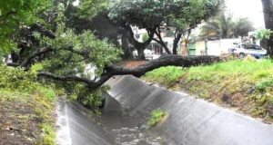 INTENSAS LLUVIAS EN SANTA CRUZ DEJAN INUNDACIONES, ÁRBOLES CAÍDOS Y VARIAS EMERGENCIAS ATENDIDAS POR BOMBEROS