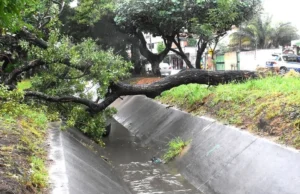 INTENSAS LLUVIAS EN SANTA CRUZ DEJAN INUNDACIONES, ÁRBOLES CAÍDOS Y VARIAS EMERGENCIAS ATENDIDAS POR BOMBEROS