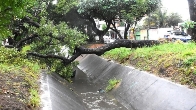 INTENSAS LLUVIAS EN SANTA CRUZ DEJAN INUNDACIONES, ÁRBOLES CAÍDOS Y VARIAS EMERGENCIAS ATENDIDAS POR BOMBEROS