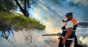 SEDES CONFIRMA LA SEXTA MUERTE POR CHIKUNGUÑA EN SANTA CRUZ Y ALERTA POR CASI 5.000 CASOS EN EL DEPARTAMENTO