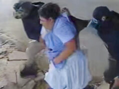 VIDEO: QUÉ SE SABE DEL SECUESTRO DE UNA MUJER POR UN GRUPO ARMADO EN EL TRÓPICO