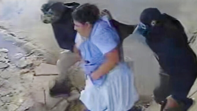 VIDEO: QUÉ SE SABE DEL SECUESTRO DE UNA MUJER POR UN GRUPO ARMADO EN EL TRÓPICO